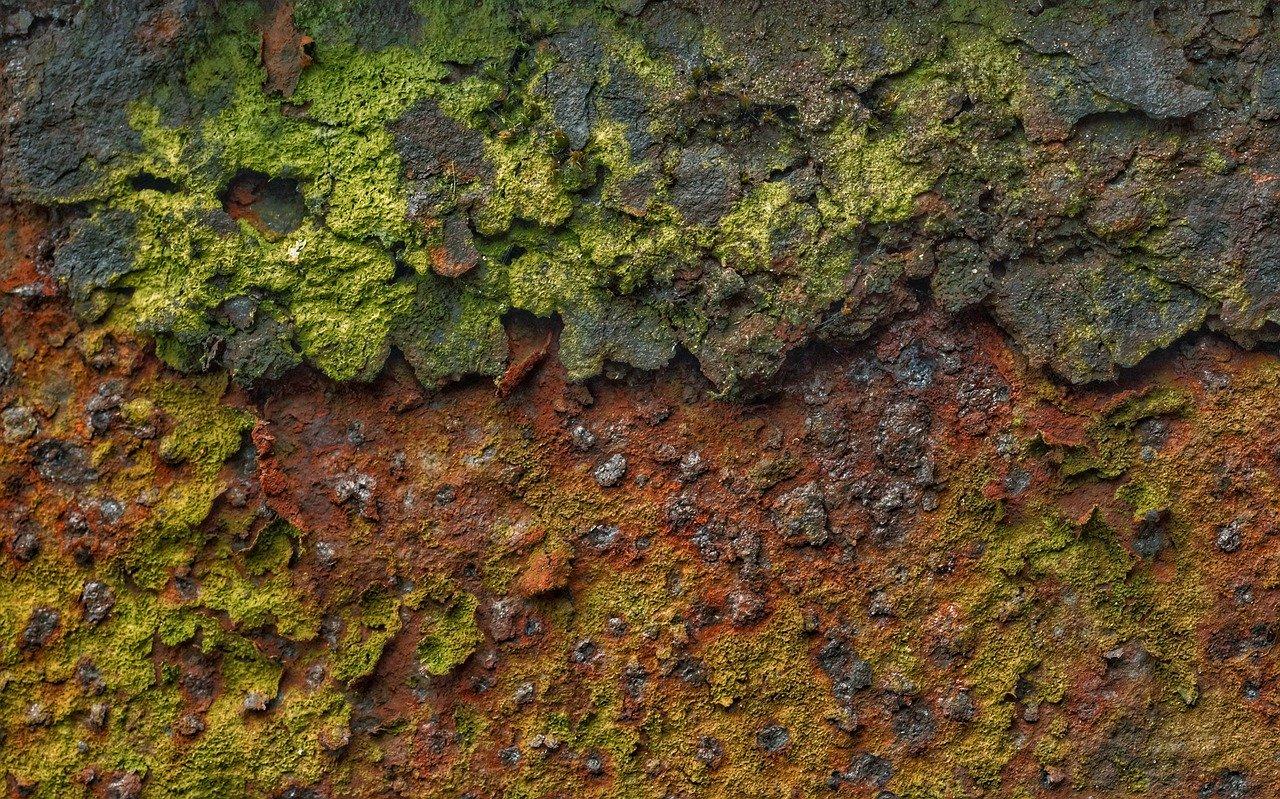 der Rost